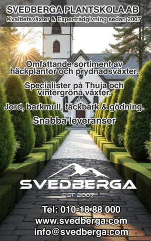 Svedberga_2026.jpg