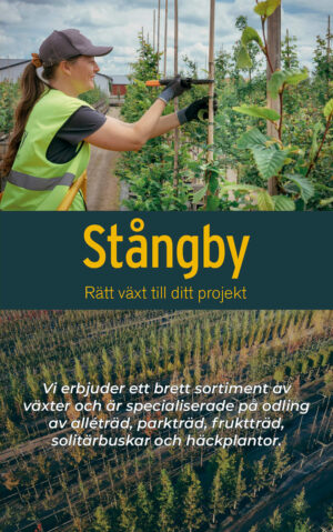 Stångby_2026.jpg